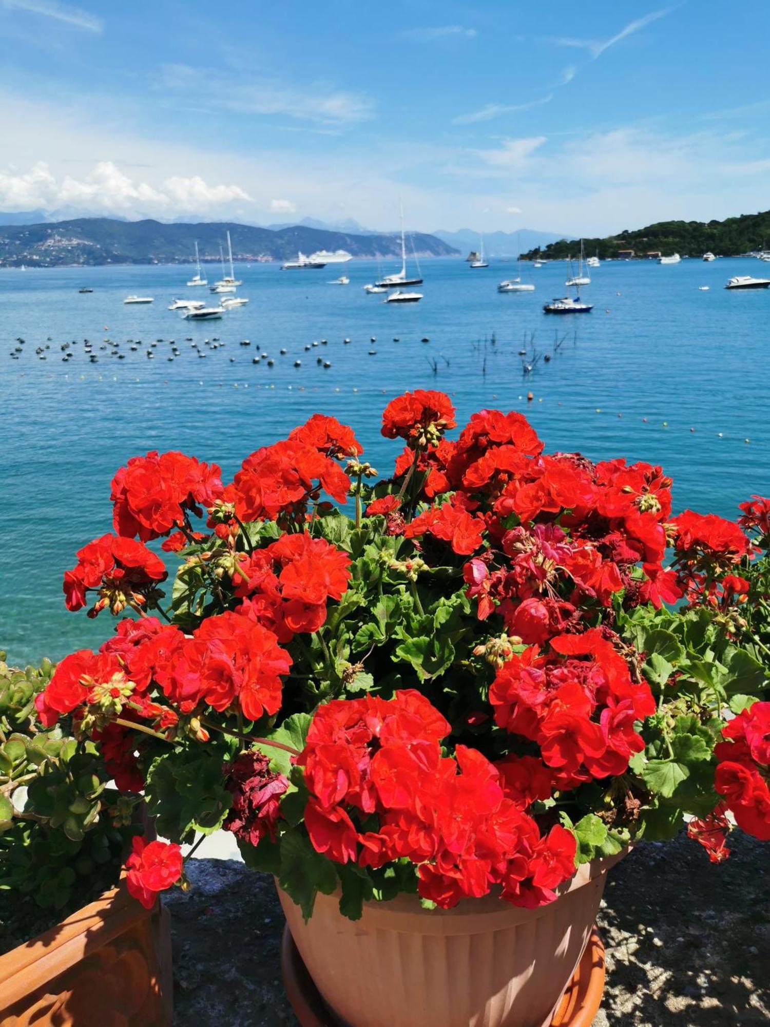 B&B La Palafitta Porto Venere Eksteriør bilde